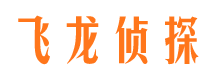 平远侦探公司